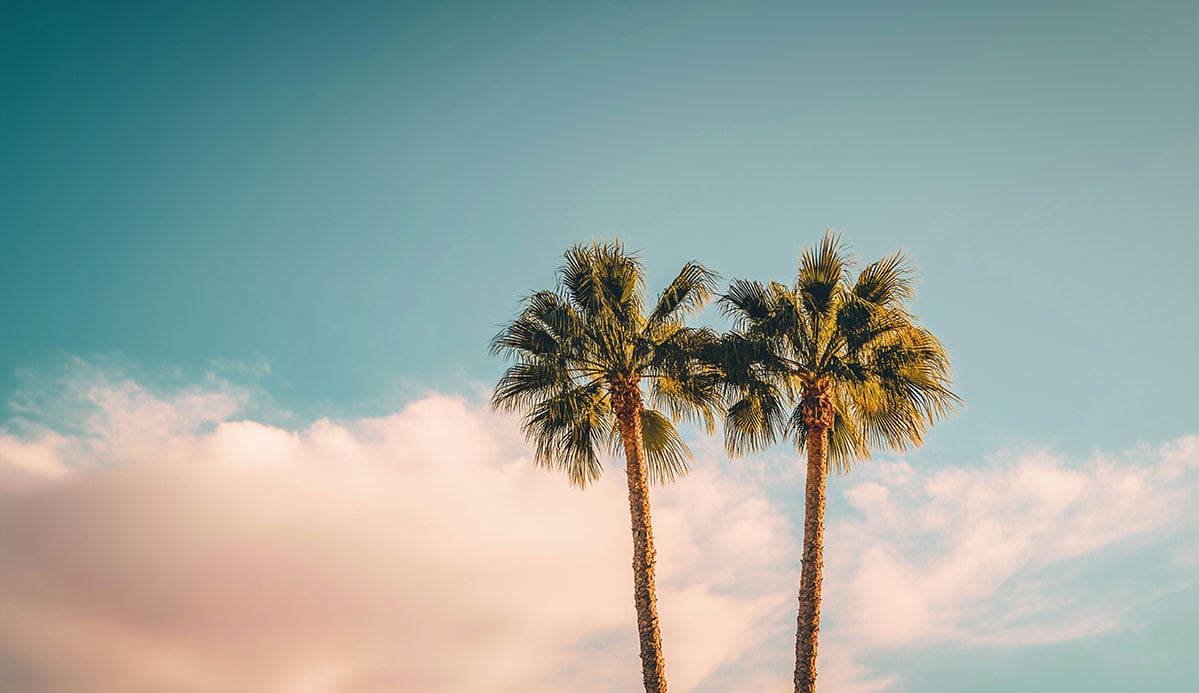 Is Good Stewardship Compatible with Taking Vacations?