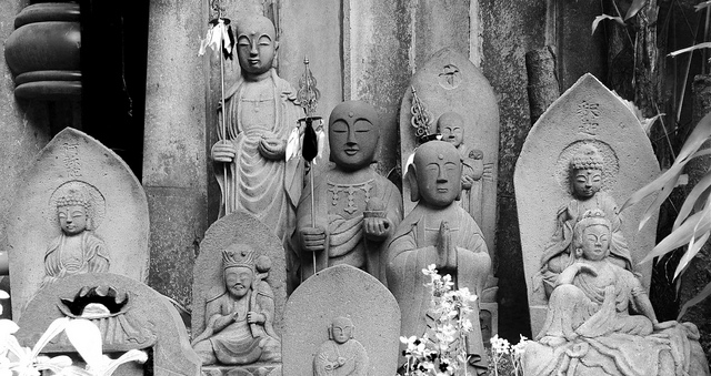Buddhism for Beginners - Vimarsana News