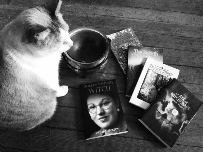 Simon the cat helps me take a photo.