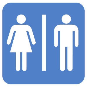 Image in public domain, from Wikimedia.