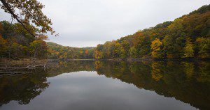 A scene from Brown County, IN. Photo from Wikimedia Commons by Diego Delso.