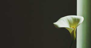Photo by Marta Pawlik from Unsplash. In public domain.