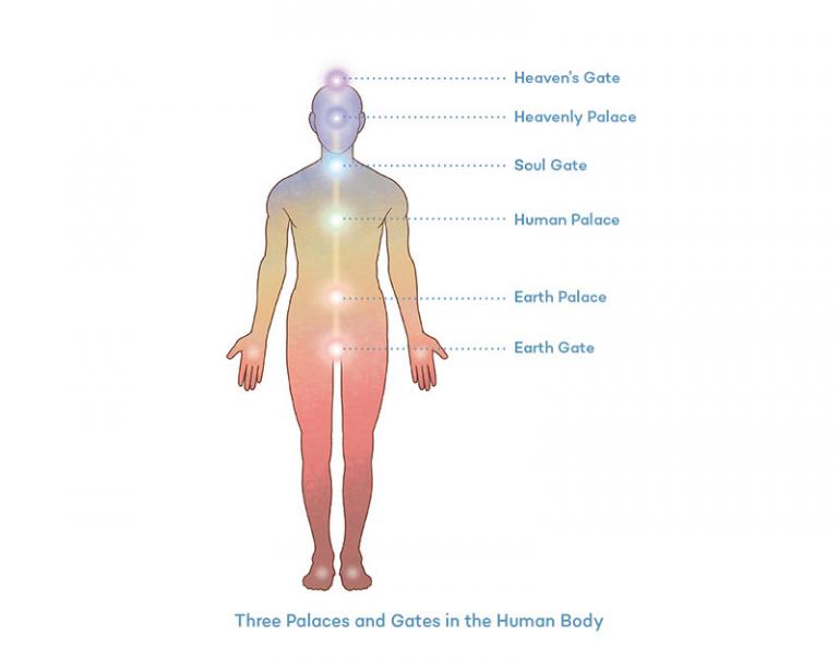 Energy centers in the body