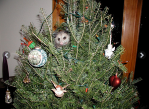 2012-12-10_1627