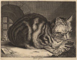 Cornelis Visscher (Dutch, 1629 - 1662 ), The Large Cat, c. 1657, engraving on laid paper, Ailsa Mellon Bruce Fund