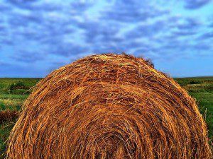 hay-862746_640