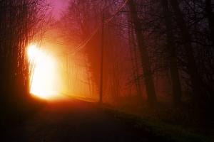 a mysterious road through a forest, with a bright light at the end