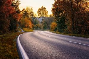 a winding road with Fall trees