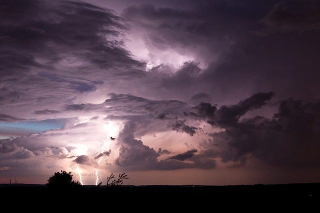 The Noisy Time Of Year | Mary Pezzulo