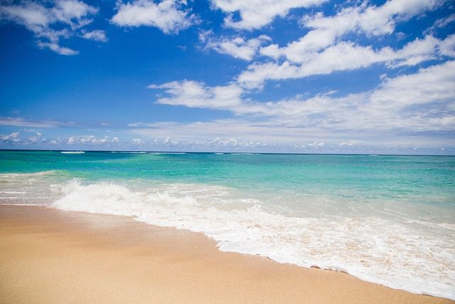 a beach under a blue sky