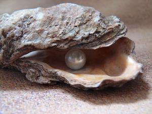 a bright pearl inside an ugly oyster