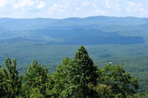 the Appalachian mountains in summer