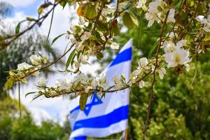 the Israeli flag with flowers