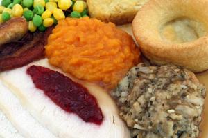 An unappetizing plate of Thanksgiving dinner with a close-up of lumps of mashed potatoes, cranberries, vegetables and stuffing