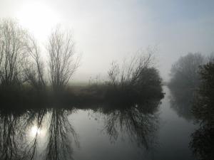 a lake on a gray foggy morning