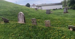 headstones in a field of buttercups