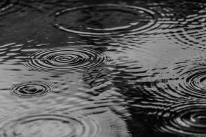 rain leaving circles in a puddle of water