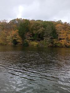 gray and brown rippling water, with Autumn trees on the far side and a cloudy sky above