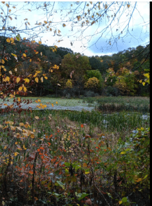 Jefferson lake under a blue sky, framed by Autumn leaves