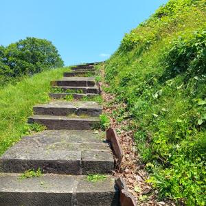 The stone staircase up the side of Grave Creek Mound
