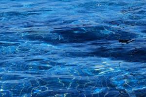 A sunny summer swimming pool where I wish I was right now