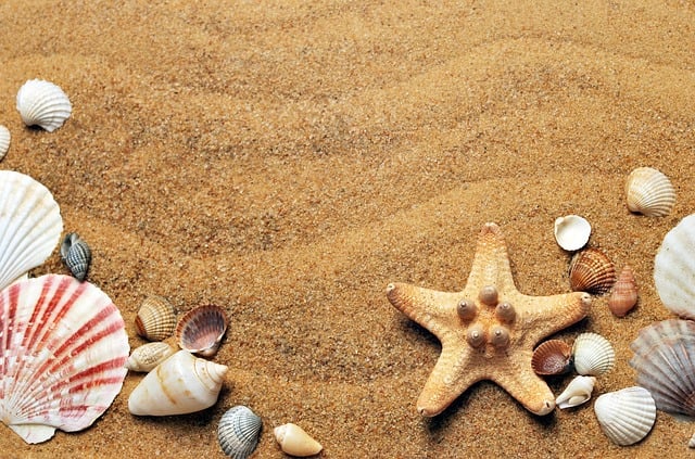 Blogkeeping Notes for Summer 2026