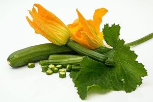 a healthy zucchini squash with a blossom and a leaf, very unlike my ruined zucchini 