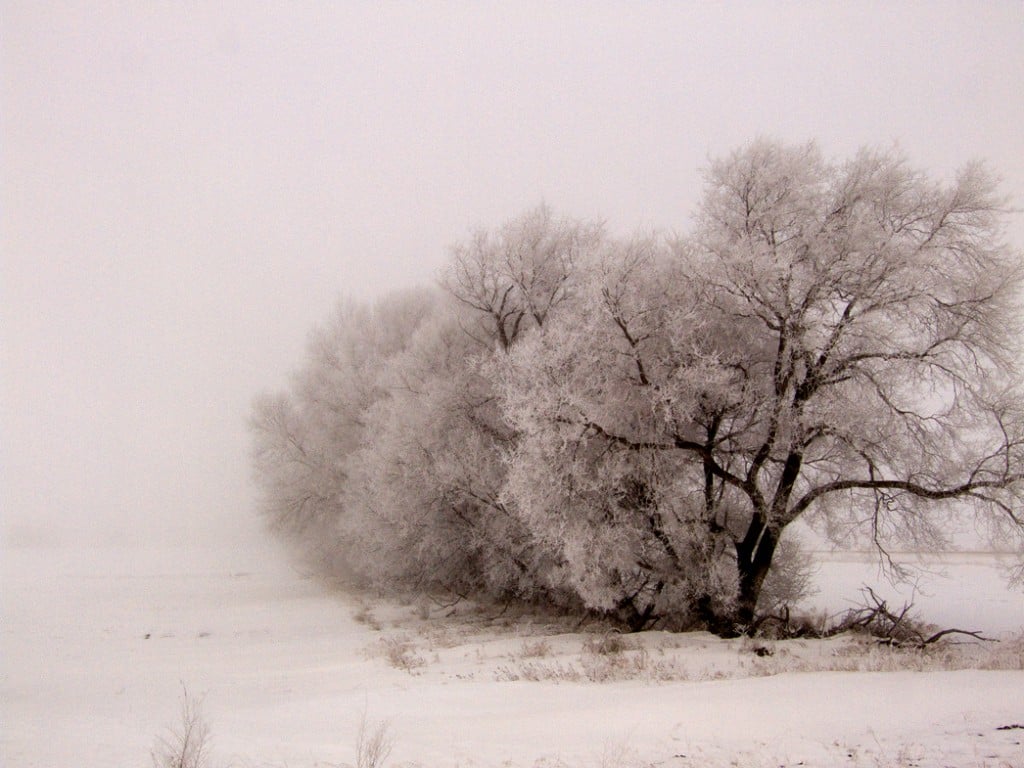 Photo "Stark" by Daniel Luby is courtesy of http://news.dphotographer.co.uk/