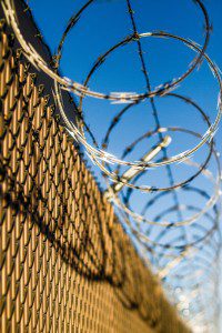 fence-macro-barbed-wire-25984