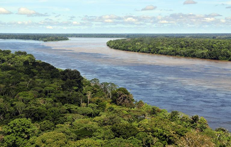 Greed will soon destroy the Amazon rainforest