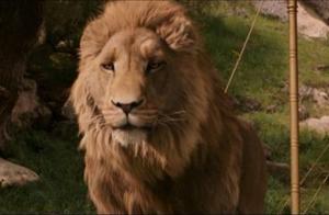 Aslan: Not a tame lion