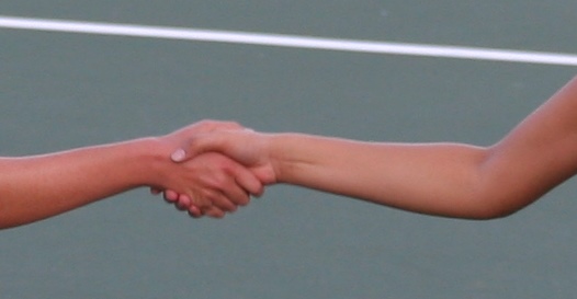 Shake_hands