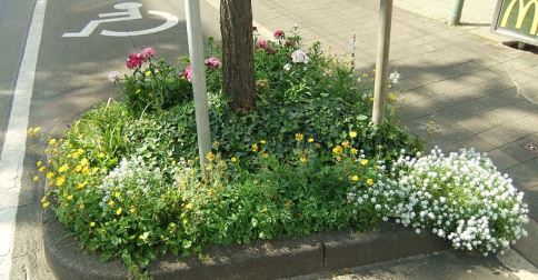 Urban_Gardening_Bielefeld