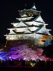 450px-Osaka-jo_Yozakura