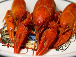 BoiledCrawdads