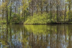 Uitzicht_over_de_Bekhofplas._Locatie,_natuurterrein_Beekdal_Linde_Bekhofplas_13