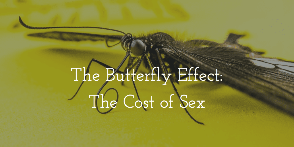 Butterfly Cost of Sex