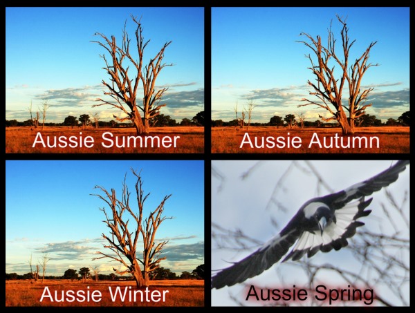 The Aussie Seasons