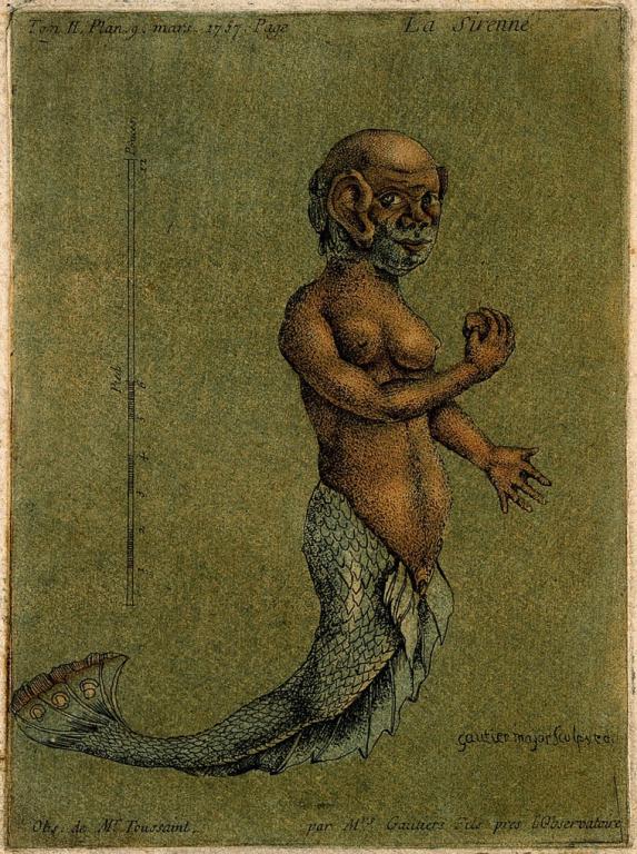 Mermaids are male and female.