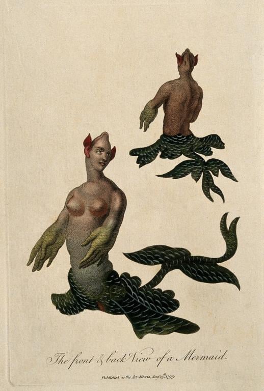 Mermaid, My Little Mermaid- Historic Mermaids are not Pretty, 18th century Mermaids