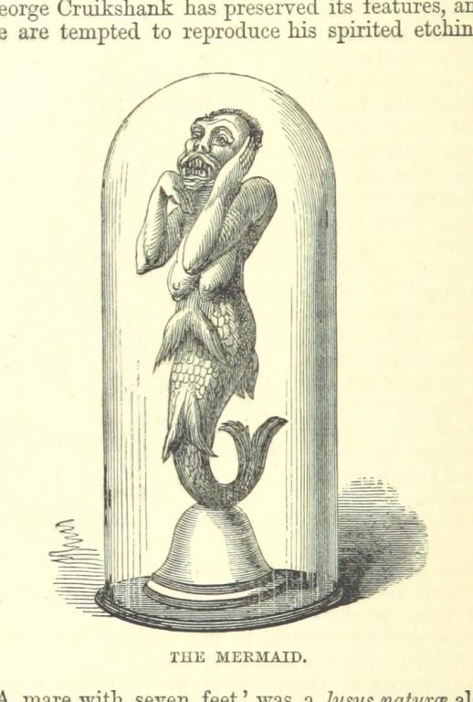 Mermaids were created by cutting and sewing parts from different animals together and then creating a being which could be shown and sold to people who believed it was something otherworldly.