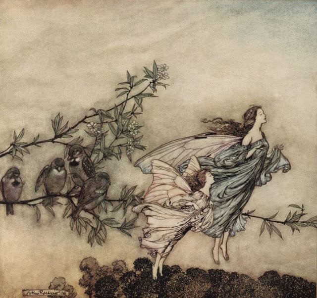 From Peter Pan in Kensington Gardens, illustrated by Arthur Rackham.