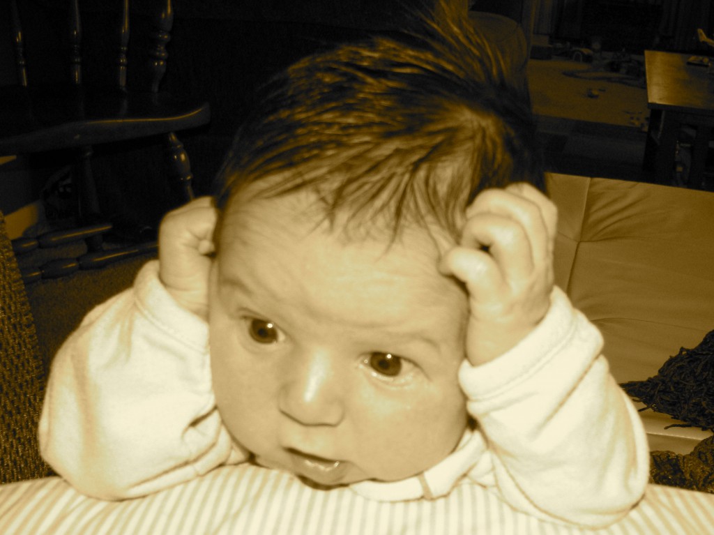 What on earth am I going to do now? Poop, Eat or Sleep?