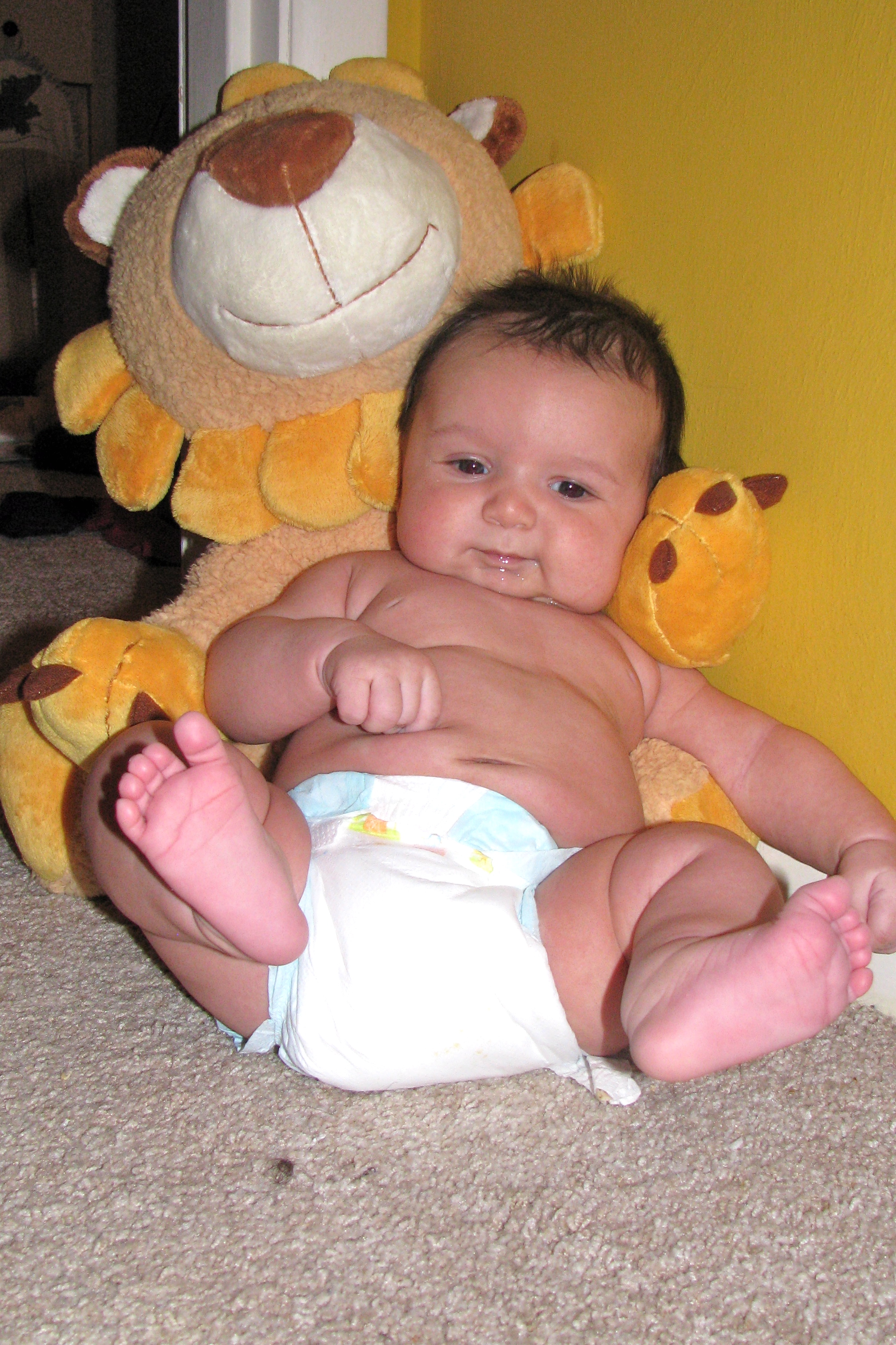 I'm rolly but cute!