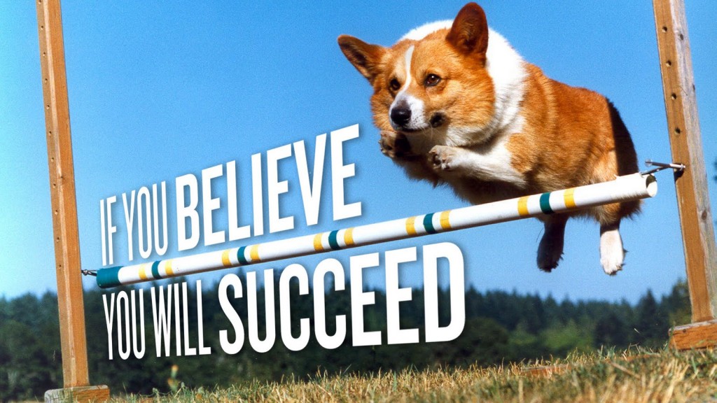 Corgie-If-you-believe-You-will-succeed
