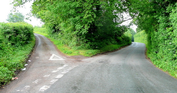 A Dead End Or A Fork In The Road Kaveh And Farouk