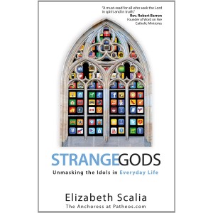 Strange Gods cover with blurb