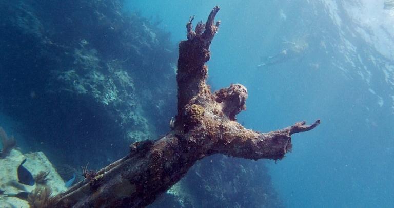 Why The God-Man Upstages The Coral | G. Shane Morris