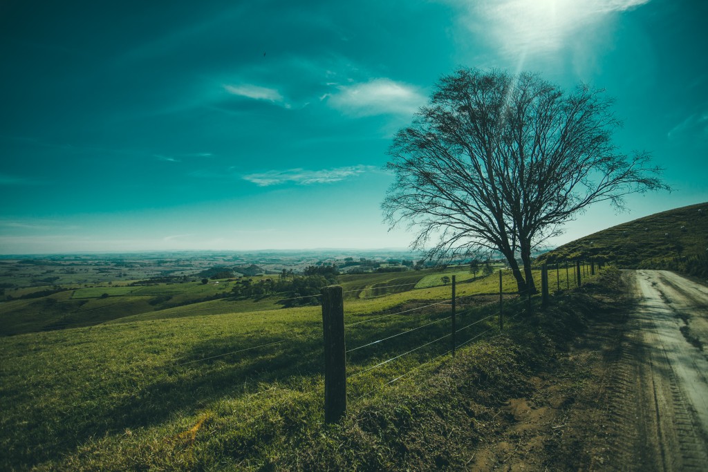 How I Found God in All the Wrong Places