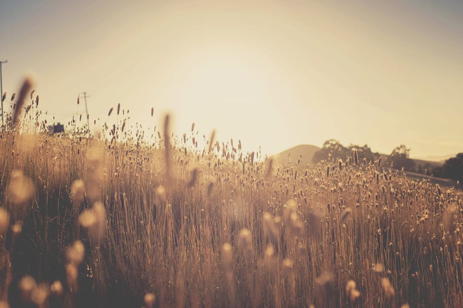 Don't Miss These 6 Powerful Quotes on Grace